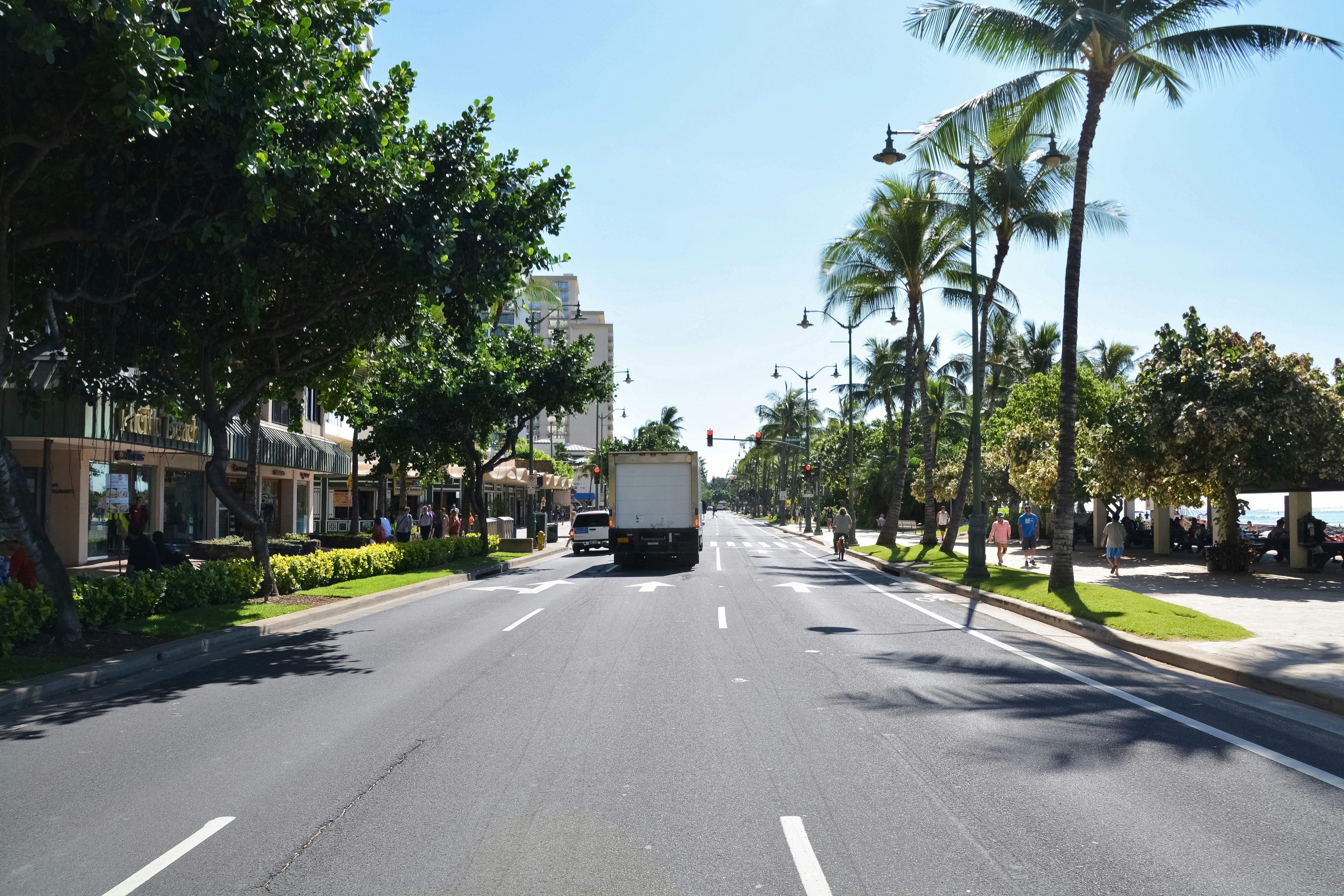 white truck on road near green trees during daytime